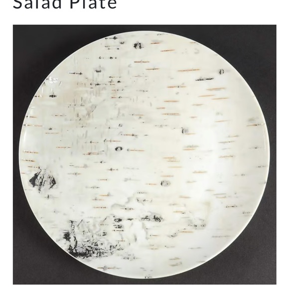 $25 Pottery Barn 8" Birch bark nature Ceramic Salad Dessert Appetizer Plate - Picture 5 of 5